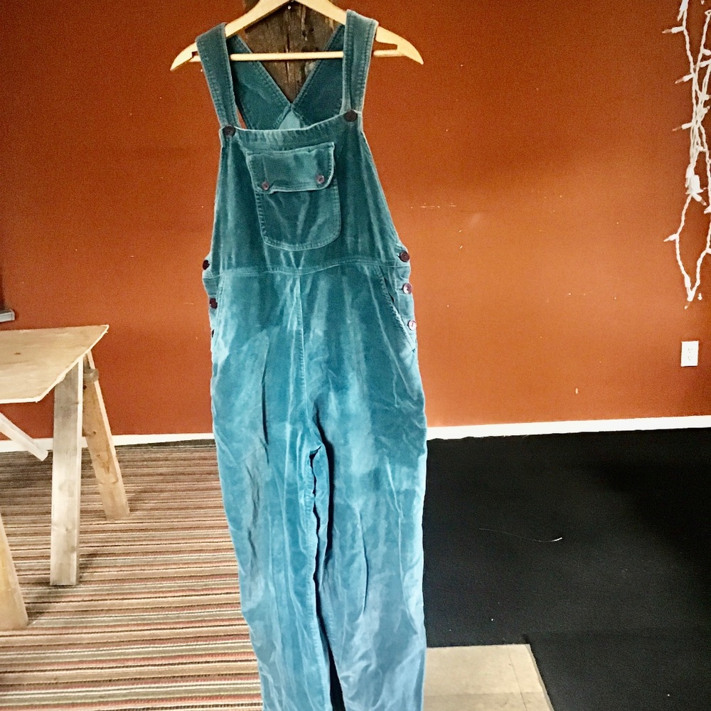 Sacred threads blue velvet overalls